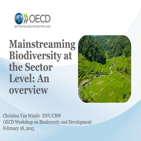 2.1   christina van winkle mainstreaming overview