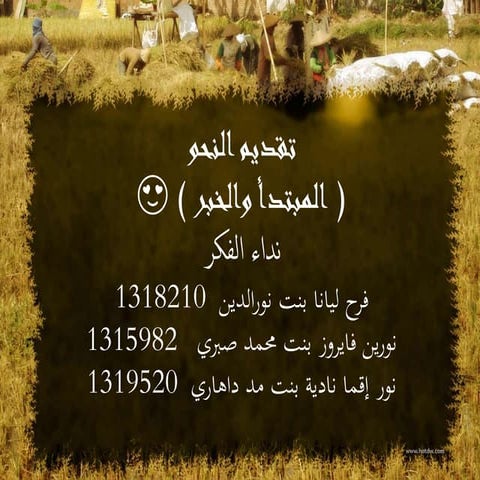 مبتدأ الخبر 2