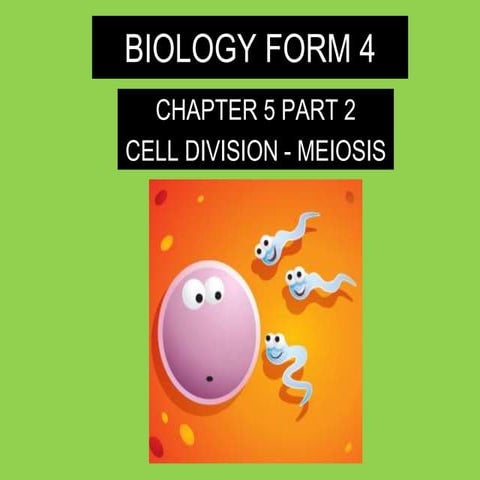 Biology form 4 chapter 5   cell dvision part 2 (meiosis)