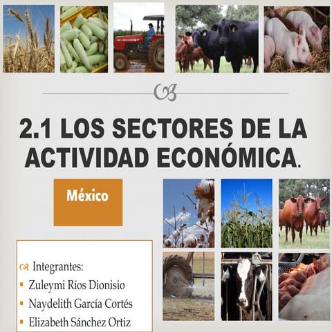 Zonas Económicas de México | DOCX