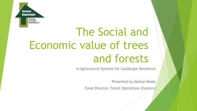 The Social and Economic Value of Trees and Forests 
