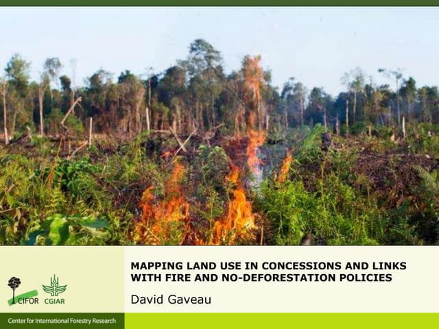 Mapping Land Use in Concessions and Links with Fire and No-Deforestation Policies
