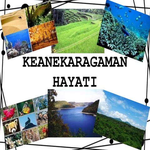 keanekaragaman hayati 