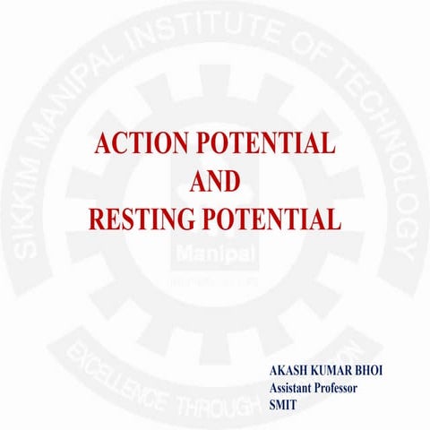 Action and Resting potential