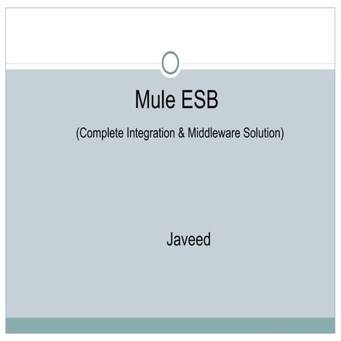 Overview of Mule Esb