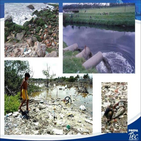 2.2 disponibilidad del agua