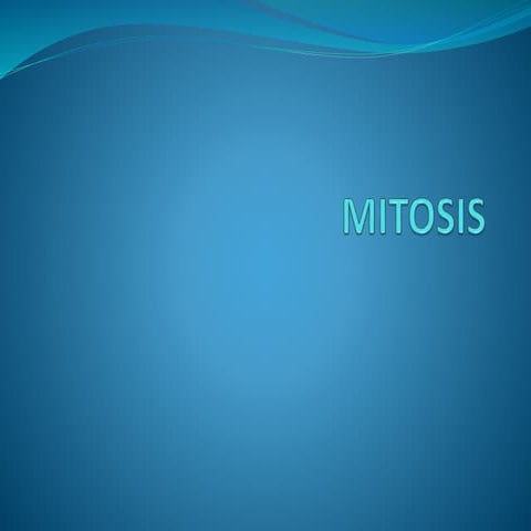 2. mitosis