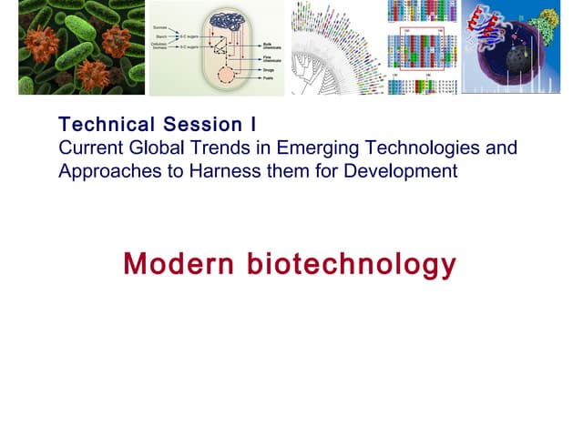 Modern biotechnology  Dr Nataporn Chanvarasuth