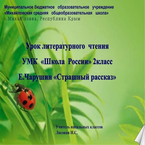 литературное чтение 2класс е.чарушин страшный рассказ | PPT