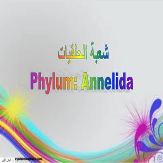 المحاضرة السابعة -2 للافقاريات