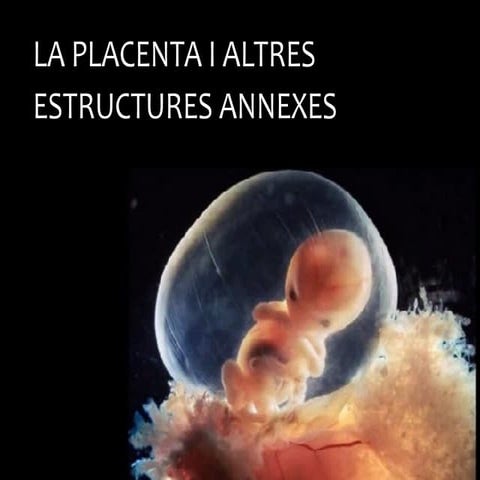 La placenta i altres estructures annexes