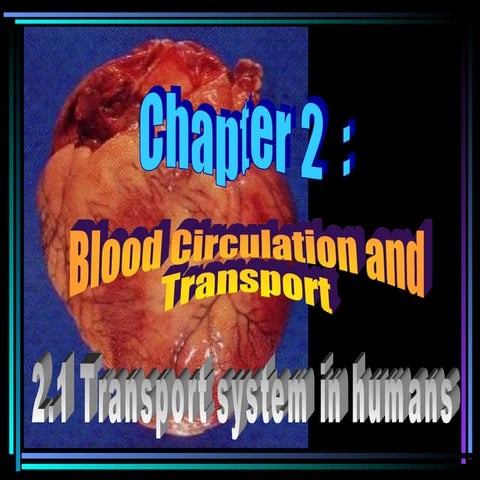 2.1 blood circulation