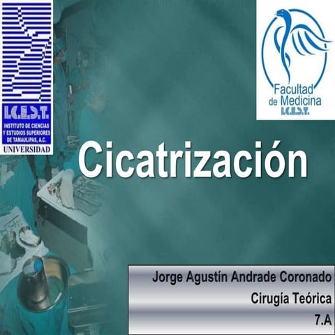 cicatrización de Heridas