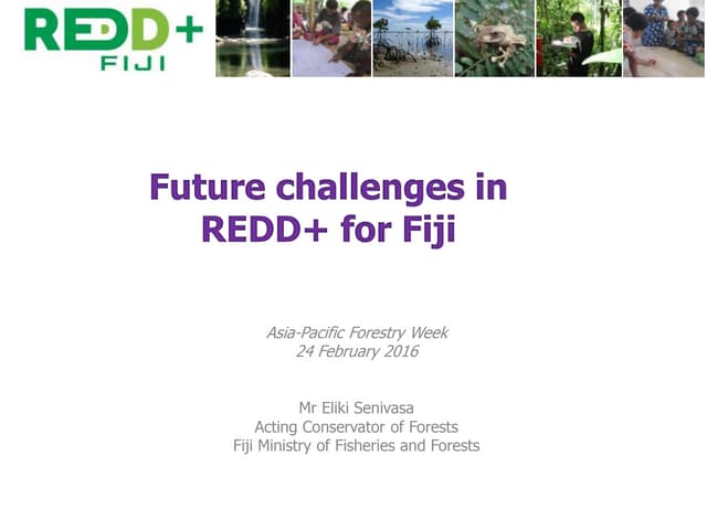 Future challenges in REDD+ for Fiji