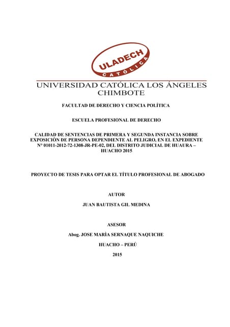 2. proyecto penal -  exposicion de persona al peligro