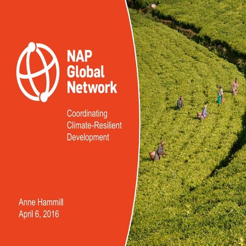 NAP Global Network: Coordinating Climate-Resilient Development