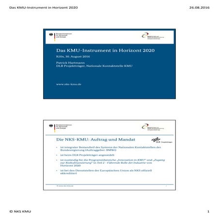 Das KMU-Instrument in Horizont 2020