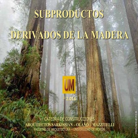 Madera, Subproductos