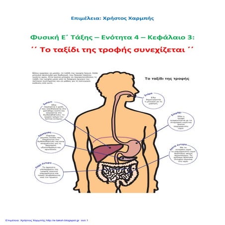 Φυσική Ε΄ 4.3. ΄΄Το ταξίδι της τροφής συνεχίζεται΄΄