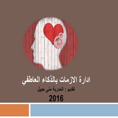 ادارة الازمات2