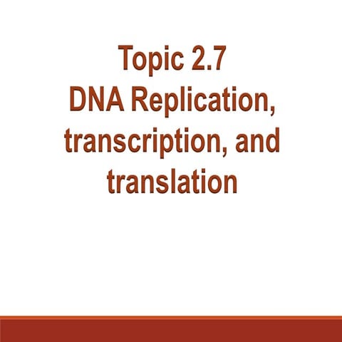 2.7 replication, transcription, translation | PPT