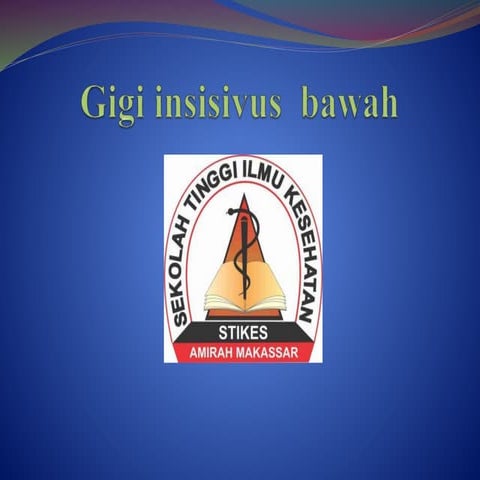 2. anatomi gigi insisivus sentral bawah kanan