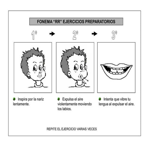 Cuaderno para trabajar el fonema rr | PDF
