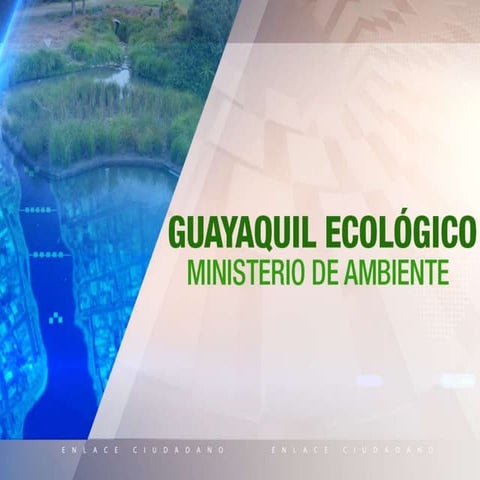 EC 509: Islas flotantes Estero Salado 