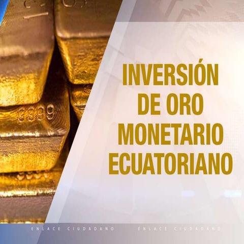 EC 513: Inversión oro