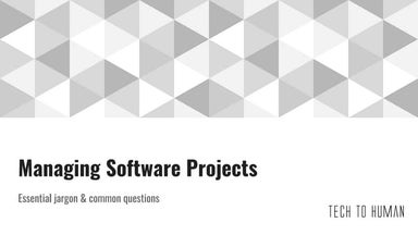 Managing Software Projects