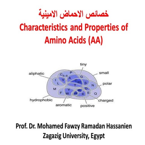  خصائص الاحماض الامينية