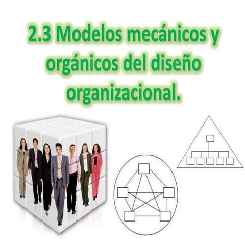 2.3 Modelos mecánicos y orgánicos del diseño organizacional.