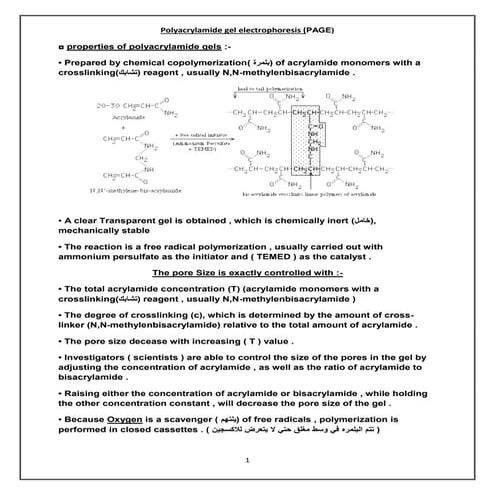 Polyacrylamide gel electrophoresis (PAGE) | PDF