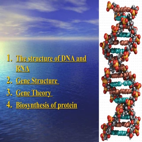 The Structure of DNA and RNA