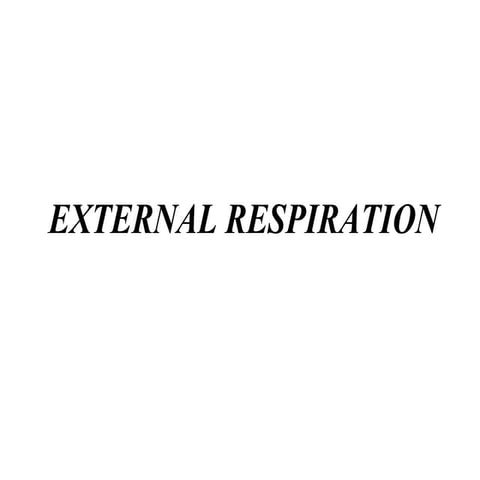 External Respiration