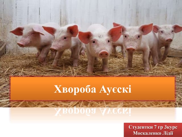 хвороба ауєскі 