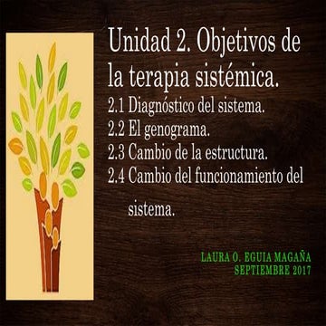 2. Objetivos de la Terapia Sistémica