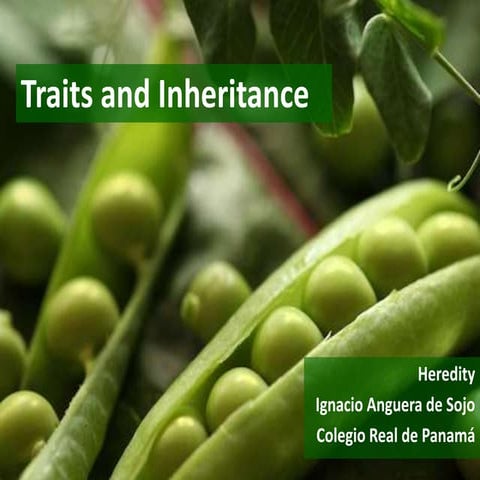 Heredity: Traits of Inheritance