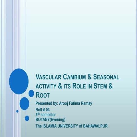 Vascular Cambium & Seasonal activity & its Role in Stem & Root