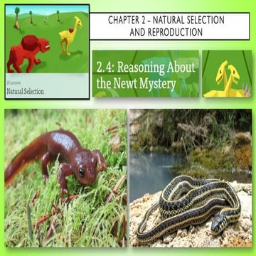 Reasoning About The Newt Mystery