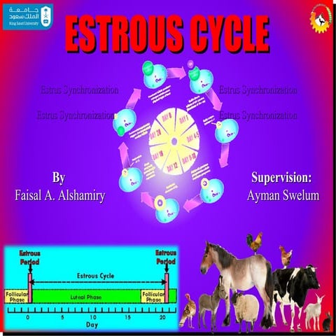 Presentation on ESTROUS CYCLE