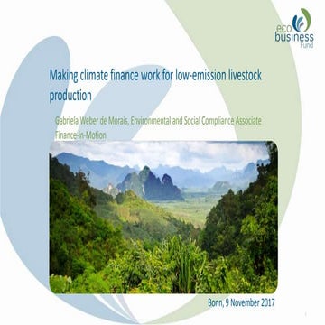 Making climate finance work for low-emissions livestock development in Nicaragua