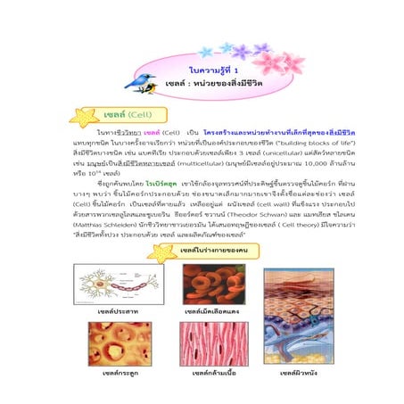 เซลล์หน่วยของสิ่งมีชีวิต