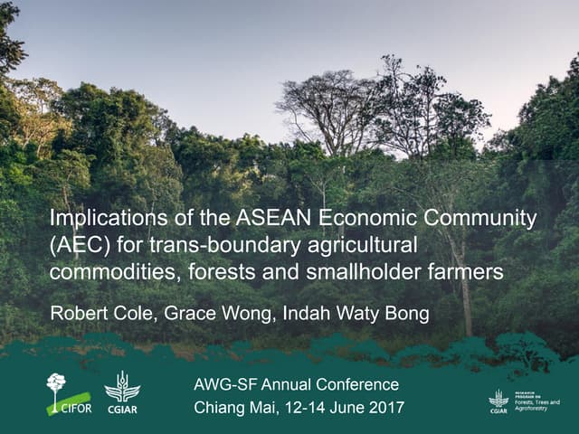 Implications of the ASEAN Economic Community (AEC) for trans-boundary agricultural commodities, forests and smallholder farmers