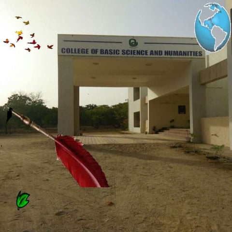 DNA Stuctre and function 