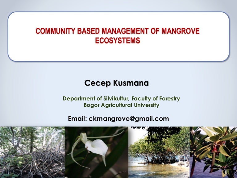 thumbnail of  Community based management of mangrove ecosystems
