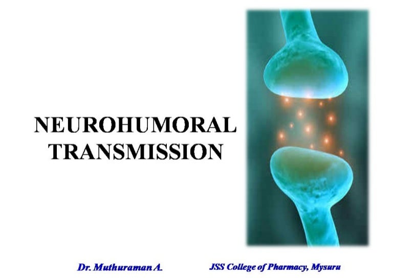 2.2.1 neurohumoral transmission