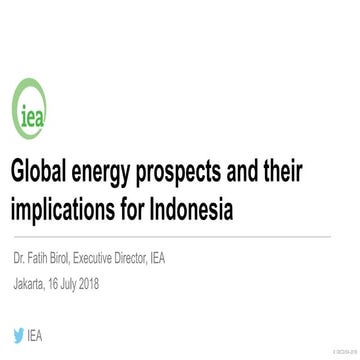 Global energy prospects and their implications for Indonesia