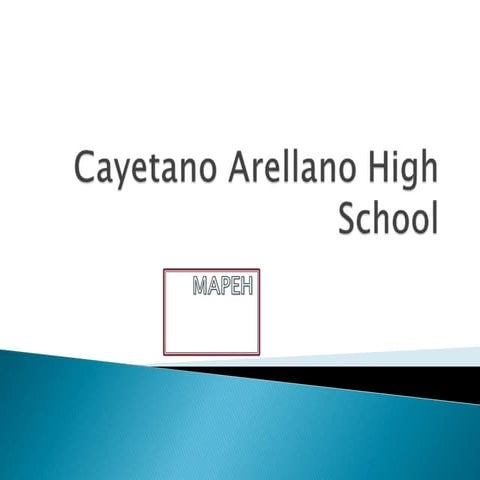 Global Initiative for Mental Health | PPT