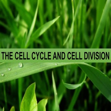 2-1901181122sdafzxcaesfdcxesfdxceafsdzcx34.pptx